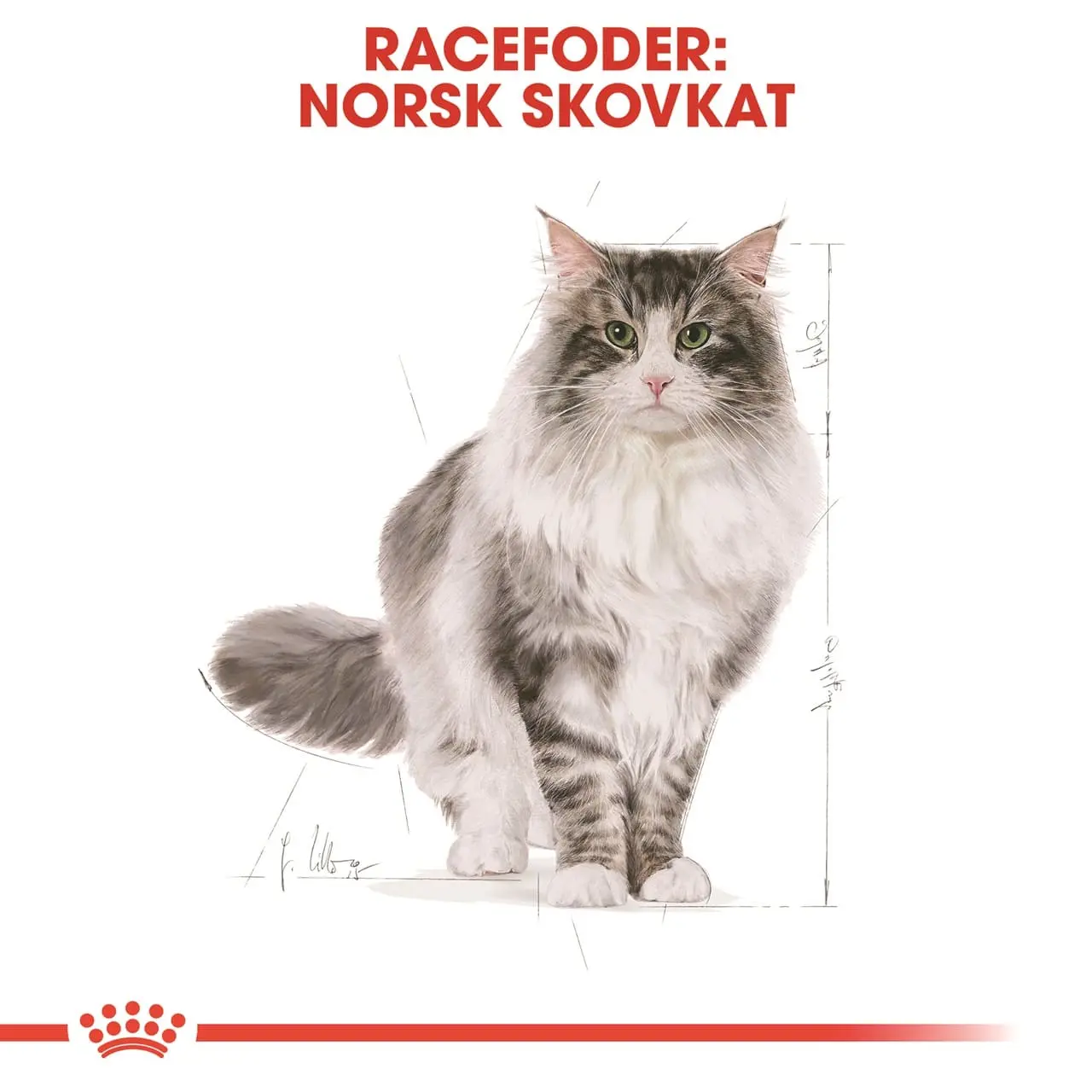 Royal Canin Norsk Skovkat 10 kg (Norwegian Forest Cat)